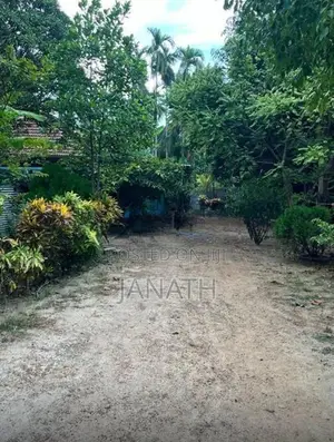 House For Rent Kilinochchi