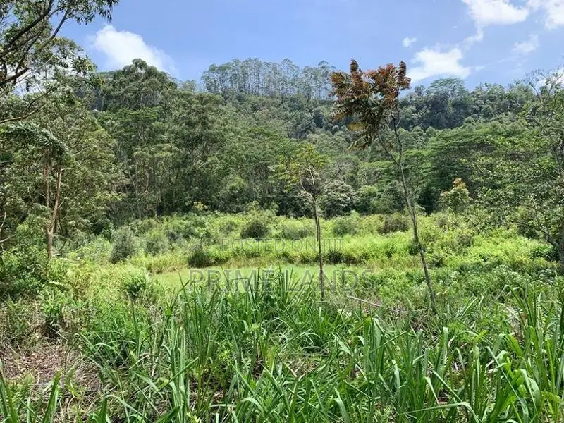 Land for Sale Pussellawa