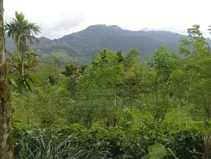 Land for Sale Nawalapitiya