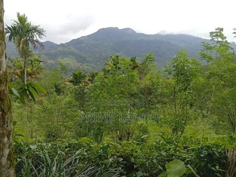Land for Sale Nawalapitiya