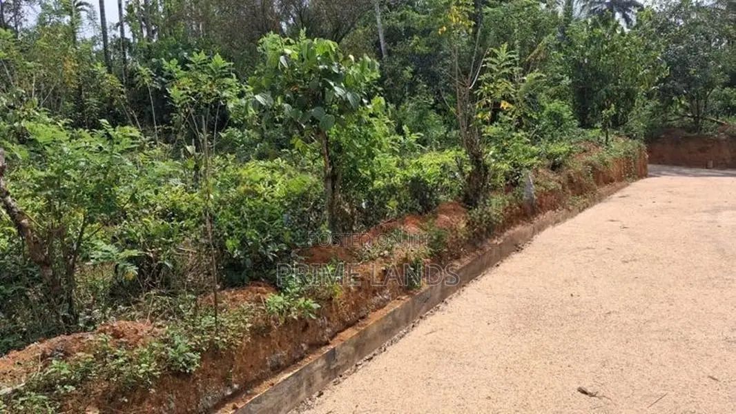 Land for Sale Nawalapitiya