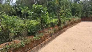 Land for Sale Nawalapitiya