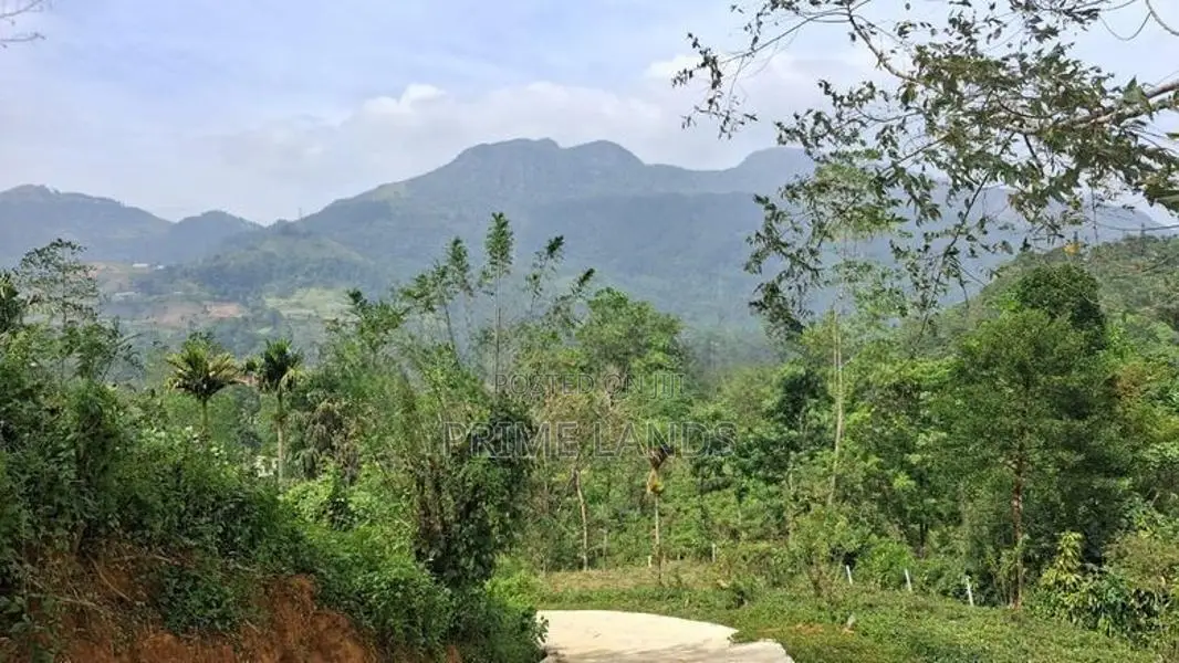 Land for Sale Nawalapitiya