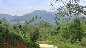 Land for Sale Nawalapitiya