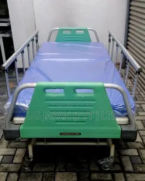 Patient Hospital Bed Manual Three Function With Mattress