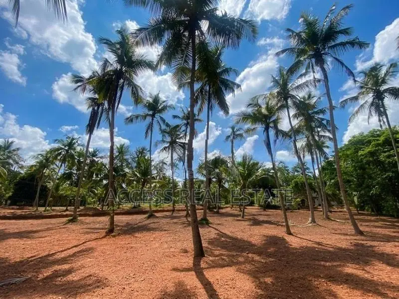 Land in Kuliyapitiya, Udubbadawa