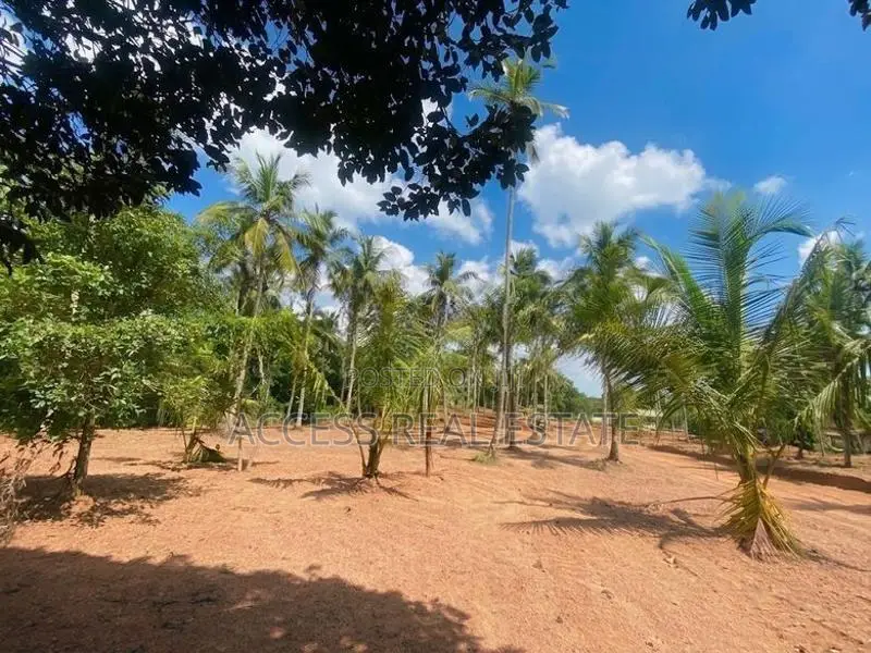 Land in Kuliyapitiya, Udubbadawa