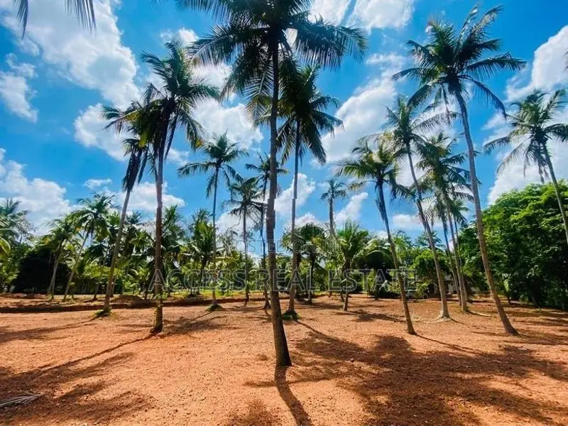Land in Kuliyapitiya, Udubbadawa