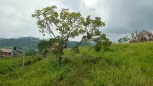Land for Sale Pussellawa