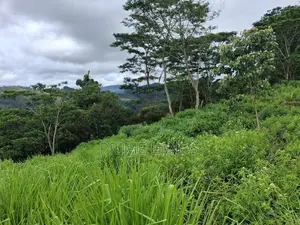 Land for Sale Pussellawa