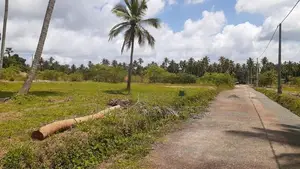 නාරම්මල මැටියගනේ ඉඩමක් විකිණීමට