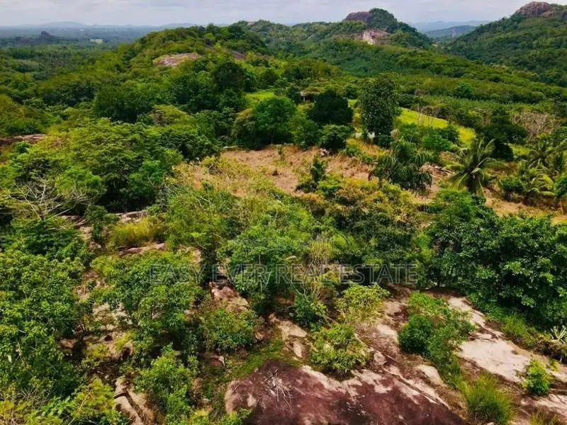 සරුසාරවත් පොල් වගාව සමඟ 360° View Point එකක් ගම්පහ