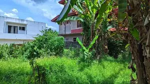 හංවැල්ල කටුනායක පාරට 100m පර්වස් 15