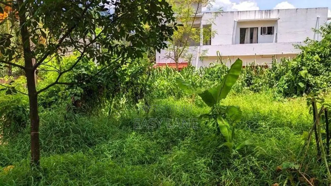 හංවැල්ල කටුනායක පාරට 100m පර්වස් 15