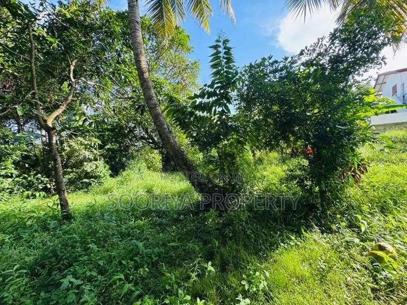 කදිම ඉඩමක් විකිණීමට - Piliyandala Kesbewa Town