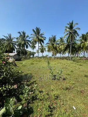 Prime 11+ Acres For Sale Nilaveli, Trincomalee