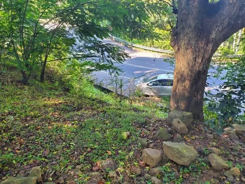Land for Sale in Medamahanuwara Digana