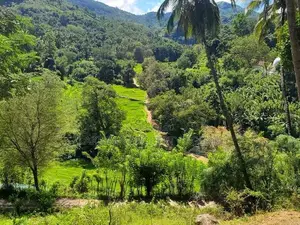 Land for Sale in Medamahanuwara Digana