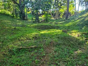 Land for Sale in Medamahanuwara Digana