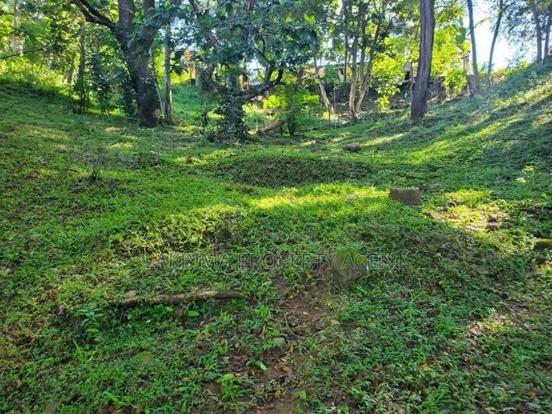 Land for Sale in Medamahanuwara Digana
