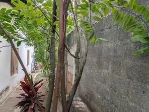 Prime Land With Single-Storey House For Sale In Wattala
