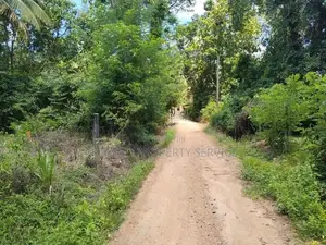 Narammala Land for Sale