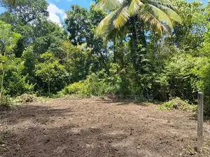 Narammala Land for Sale
