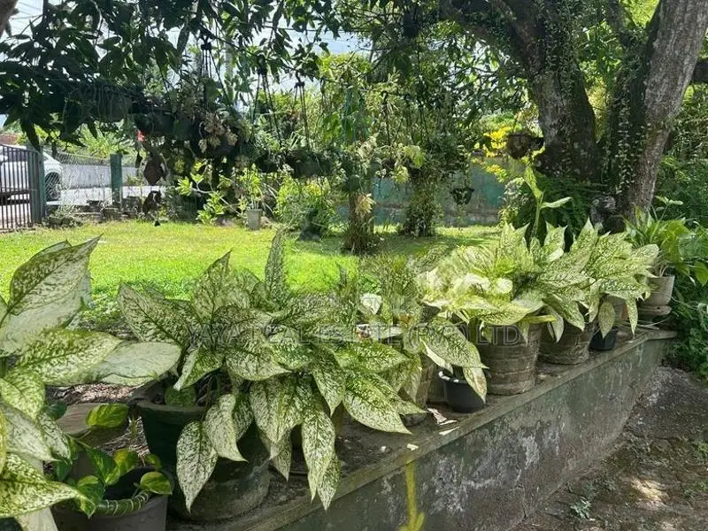 Commercial Land For Sale In Talawatugoda