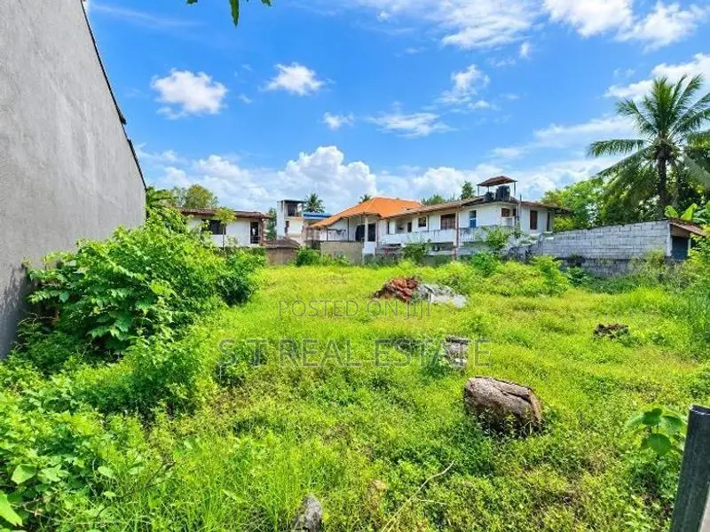 11P Bare Land For Sale In Pelawatta