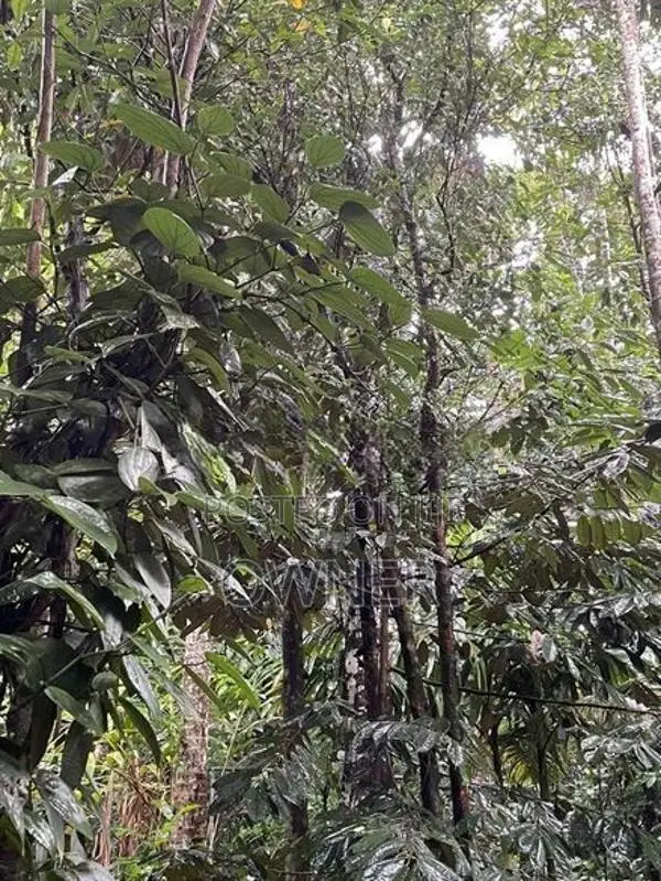 47 Perches Land With 2 Houses For Sale – Pilimathalawa In Pilimatalawa