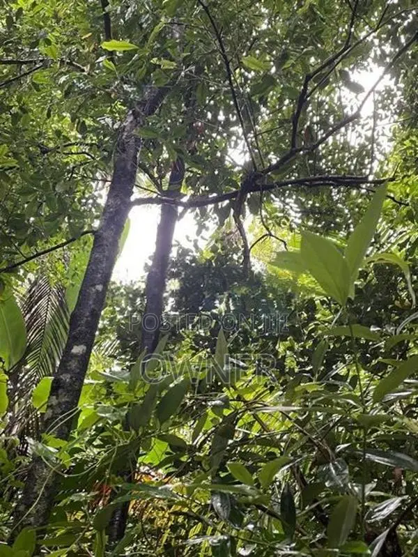 47 Perches Land With 2 Houses For Sale – Pilimathalawa In Pilimatalawa
