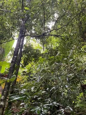 47 Perches Land With 2 Houses For Sale – Pilimathalawa In Pilimatalawa