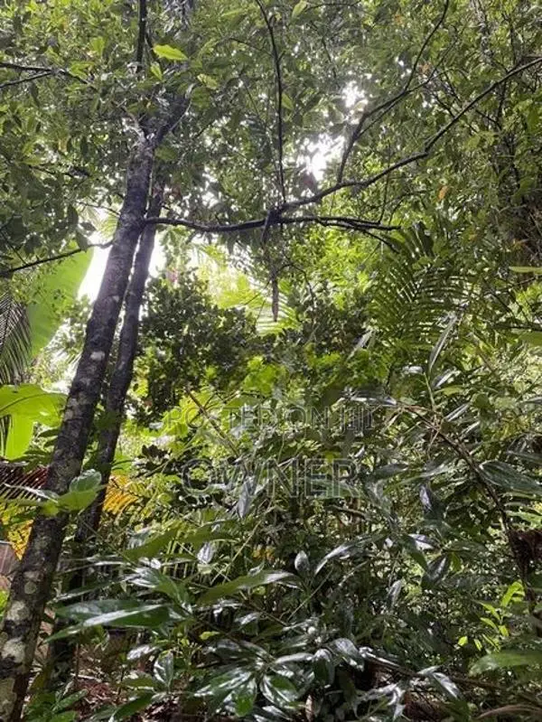 47 Perches Land With 2 Houses For Sale – Pilimathalawa In Pilimatalawa