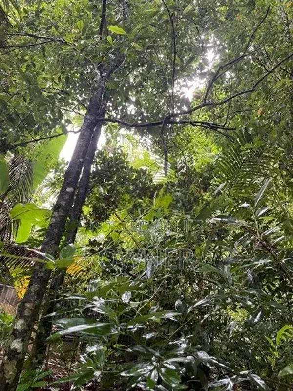 47 Perches Land With 2 Houses For Sale – Pilimathalawa In Pilimatalawa