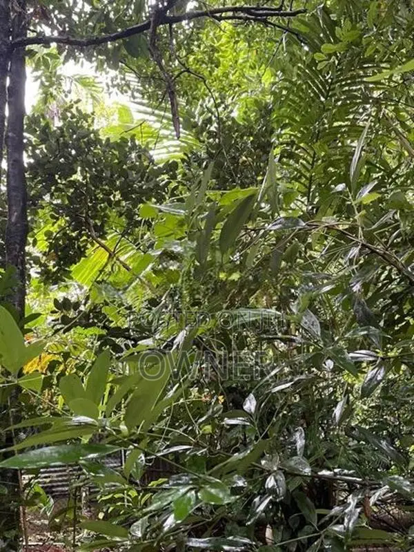 47 Perches Land With 2 Houses For Sale – Pilimathalawa In Pilimatalawa