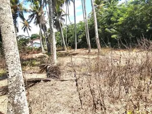 69 Perches Residential Bare Land for Sale Waskaduwa