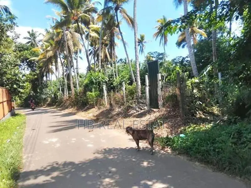 69 Perches Residential Bare Land for Sale Waskaduwa
