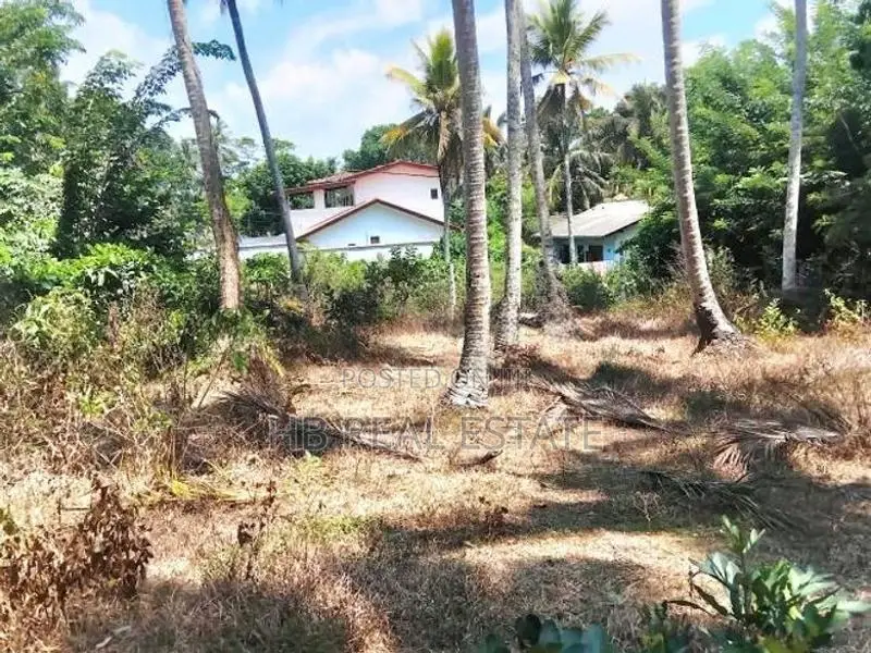 69 Perches Residential Bare Land for Sale Waskaduwa