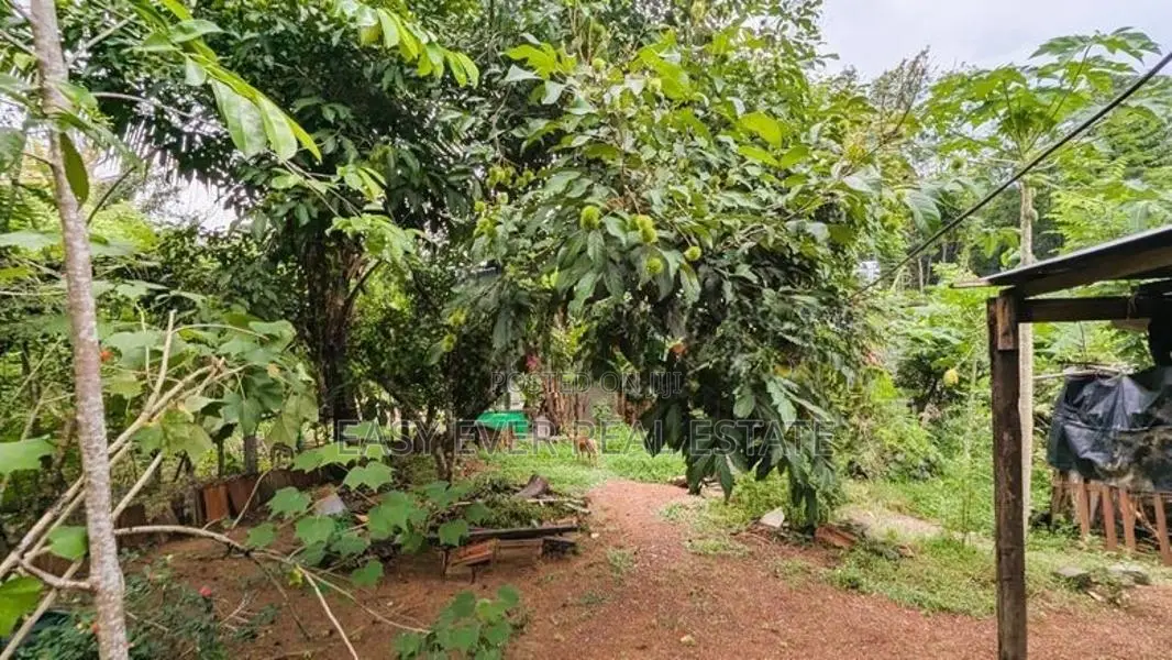 නිට්ටඹුව –කුරවලාන අඩක් නිමකළ නිවස සමග ඉඩමේ වටිනාකමට