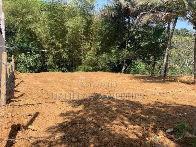 හාලිඇල පර්චස් 15ක ඉඩමක්