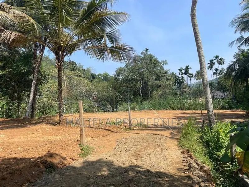 හාලිඇල පර්චස් 15ක ඉඩමක්