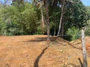 හාලිඇල පර්චස් 15ක ඉඩමක්
