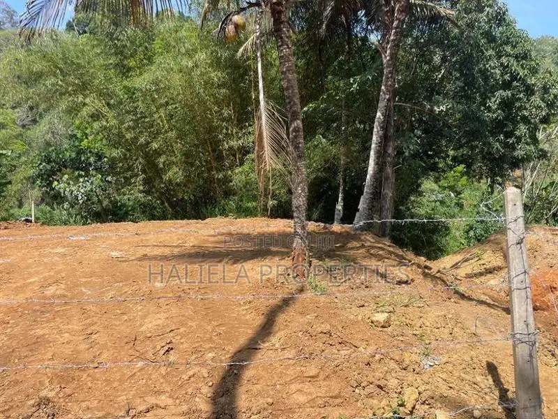 හාලිඇල පර්චස් 15ක ඉඩමක්