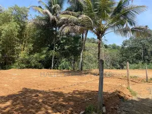 හාලිඇල පර්චස් 15ක ඉඩමක්