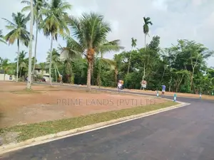 බොකුන්දර පාසැල් මාවතෙන් බිම් කොටස් විකිණීමට
