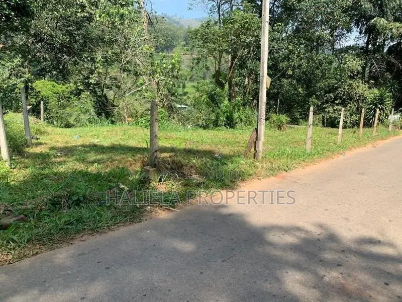 හාලිඇල පර්චස් 7ක ආයෝජනයක්