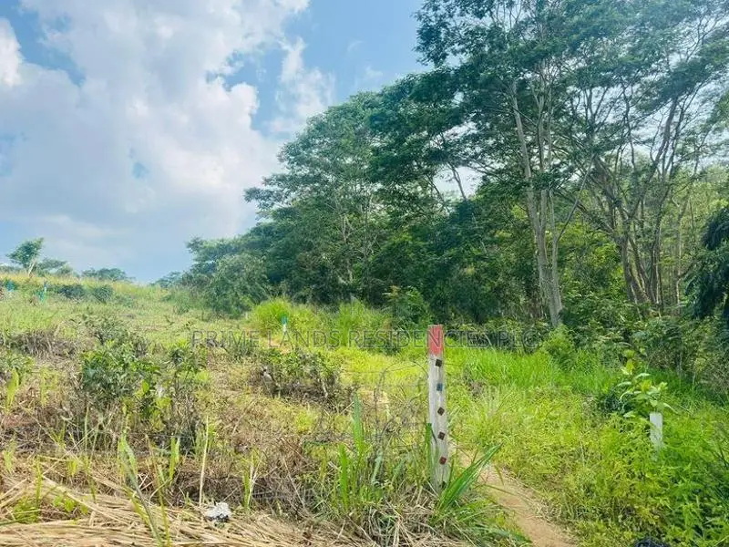 Lands for Sale in Pusellawa