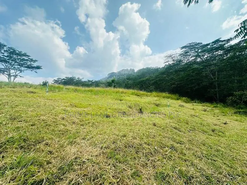 Lands for Sale in Pusellawa