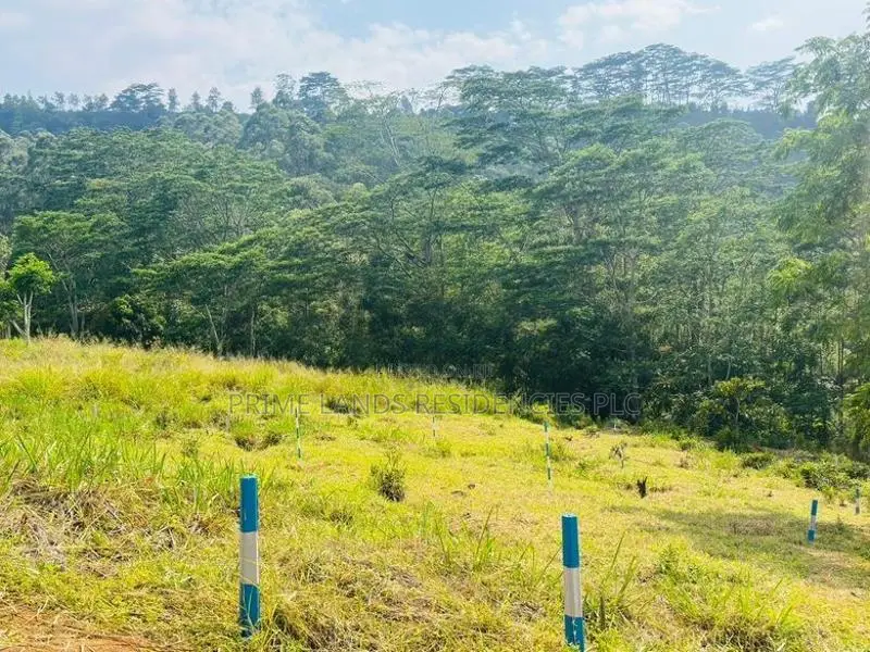 Lands for Sale in Pusellawa