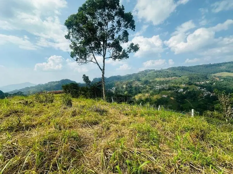 Lands for Sale in Pusellawa